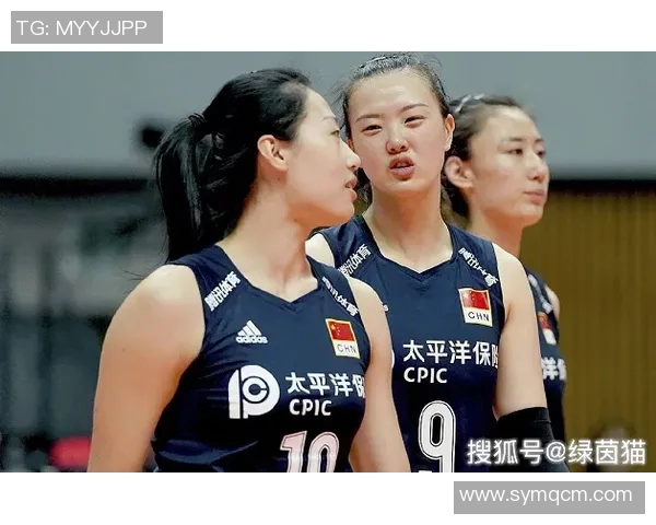 最新排球状态排行榜揭晓北京排球队稳居第一名引关注